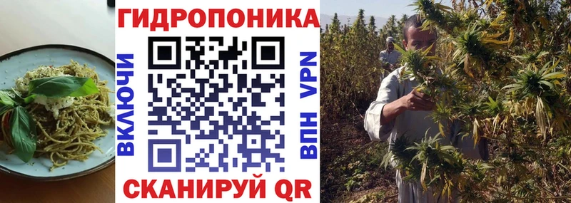 Купить  Сим  Cannafood конопля 